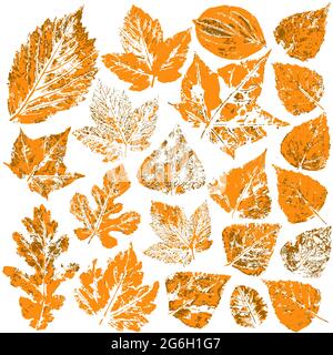 Sammlung von Herbstblättern in orange. Zweifarbige Farbdrucke. Satz von Vektorzeichnungen. Gut für Herbstdesign Stock Vektor