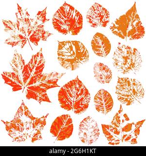 Satz von Vektorzeichnungen mit Acrylfarben. Sammlung von Herbstblättern in orange. Zweifarbige Farbdrucke. Geeignet für die Herbstgestaltung von Spruchbändern, Flyern Stock Vektor