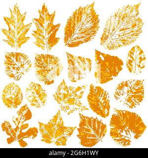 Sammlung von Herbstblättern in orange. Zweifarbige Farbdrucke. Satz von Vektorzeichnungen mit Acrylfarben. Geeignet für die Herbstgestaltung von Spruchbändern, Flyern Stock Vektor