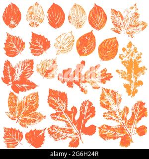 Satz von Vektorzeichnungen mit Acrylfarben. Sammlung von Herbstblättern in orange. Zweifarbige Farbdrucke. Gut für die Herbstgestaltung von Banner Stock Vektor