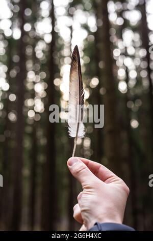 Vogelfeder in der Hand eines Mannes auf einem Waldgrund Stockfoto