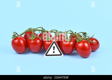 Konzept für ungesunde oder toxische Substanzen in Lebensmitteln wie Pestizidrückstände oder Allergien mit Warnschild vor Tomaten auf blauem Hintergrund Stockfoto