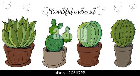 Niedliche Vektorgrafik. Set von Cartoon-Bildern von Kakteen in Blumentöpfen. Kakteen, Aloe, Sukkulenten. Kollektion Dekorative natürliche Elemente sind isoliert Stock Vektor