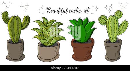 Niedliche Vektorgrafik. Set von Cartoon-Bildern von Kakteen in Blumentöpfen. Kakteen, Aloe, Sukkulenten in einer kreativen Sammlung. Dekorative Naturelemente Stock Vektor