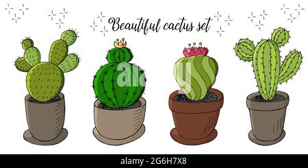 Niedliche Vektorgrafik. Set von Cartoon-Bildern von Kakteen in Blumentöpfen. Kakteen, Aloe, Sukkulenten in einer kreativen Sammlung. Druckstift, Abzeichen. Dekorativ Stock Vektor