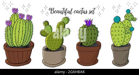 Niedliche Satz von Cartoon-Bilder von Kakteen in Blumentöpfen. Kakteen, Aloe, Sukkulenten. Kollektion Dekorative Naturelemente sind auf Weiß isoliert Stock Vektor