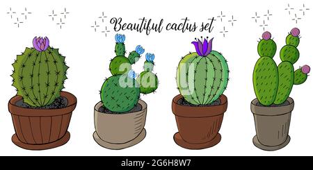 Set von Cartoon-Bildern von Kakteen in Blumentöpfen. Kakteen, Aloe, Sukkulenten. Kollektion Dekorative Naturelemente sind auf Weiß isoliert Stock Vektor