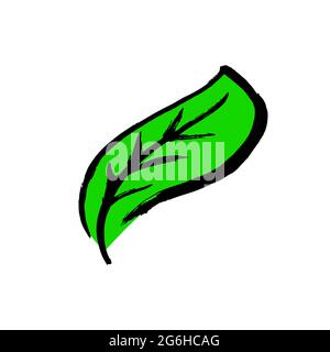 Isoliert auf weißem Hintergrund. Handzeichnung Farbe, Pinselzeichnung. Symbol für den Doodle-Grunge-Stil. Umrisssymbol, Cartoon-Illustration. Symbol für den Lamellenbaum Stock Vektor