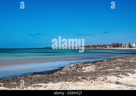 Ein schöner Blick auf die Mittelmeerküste mit Birkenwasser, einem Strand mit weißem Sand und einer grünen Palme. Stockfoto