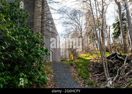 Weg durch den Campus der Mount saint vincent Universität Stockfoto