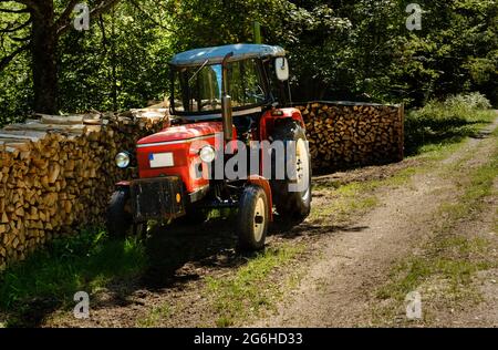 Ein alter roter Traktor neben einem Haufen Feuerholz im Schatten des Waldes. Ausrüstung des Landwirts. Schwarzwald, Baden-Württemberg, Deutschland Stockfoto