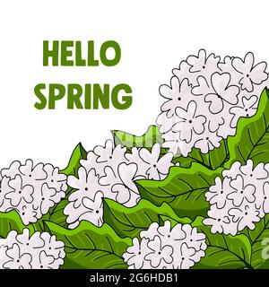 Buldenesch. Monstera. Viburnum Blumen Grußkarte Hallo Frühling Stock Vektor