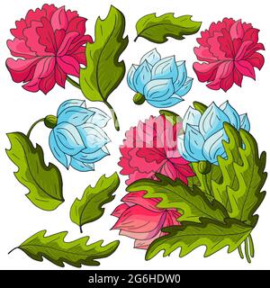 Pfingstrosen. Set aus Blumensträußen, Blütenständen, Blättern und Blumen als separate Elemente. Blaue und rote Pfingstrosen im Handzeichnen-Stil. Vektor Blumen für Flyer, Stock Vektor
