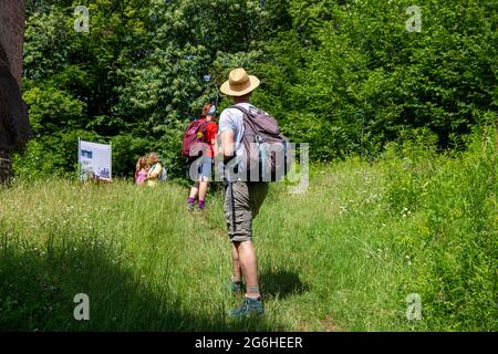 Wanderer auf der Ruine der Burg Ramburg bei Ramberg im Pfälzer Wald Stockfoto