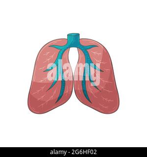 Vektorsymbol im Handzeichnen-Stil. Bild auf weißem Hintergrund isoliert. Menschliche Organe. Lungen Stock Vektor