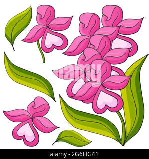 Orchideen. Set Orchidee. Rosa Blüten, einzelne Elemente. Niedliche Blumen im Handzeichnen-Stil Stock Vektor