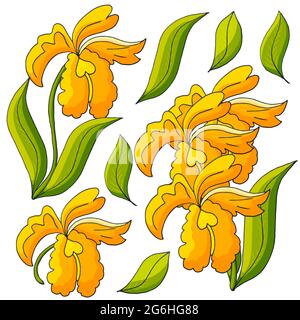 Orchideen. Set Orchidee. Gelbe Blüten, einzelne Elemente. Niedliche Blumen im Handzeichnen-Stil Stock Vektor