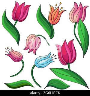 Tulpen. Zarte Frühlingsblumen im Handzeichnen-Stil. Niedliche Blumenelemente für Ihr Design Stock Vektor