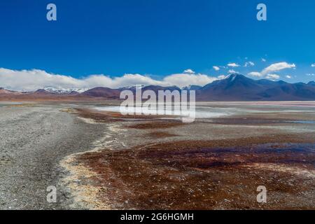Küste des Sees Laguna Colorada im Nationalpark der andinen Fauna Eduardo Avaroa, Bolivien Stockfoto
