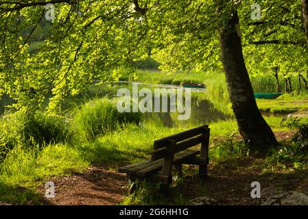 Wunderschöne Wasserfälle von Herisson im französischen jura Stockfoto