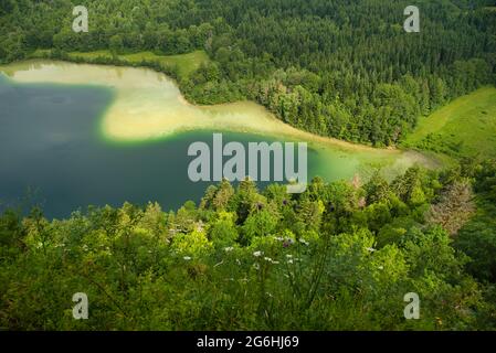 Belvedere des quatres lacs mit Blick auf die Seen von Illay, Maclu in der französischen jura-Region Stockfoto