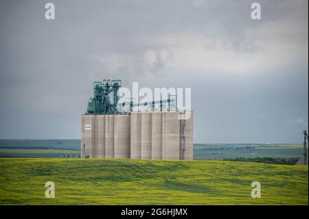 Trochu, Alberta - 4. Juli 2021: Largeg Vitera Zementkornterminal außerhalb von Trochu, Alberta. Stockfoto