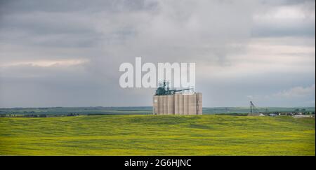 Trochu, Alberta - 4. Juli 2021: Largeg Vitera Zementkornterminal außerhalb von Trochu, Alberta. Stockfoto