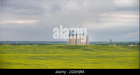 Trochu, Alberta - 4. Juli 2021: Largeg Vitera Zementkornterminal außerhalb von Trochu, Alberta. Stockfoto