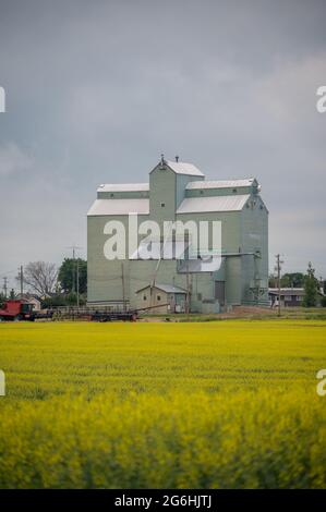 Three Hills, Alberta - 4. Juli 2021: Old Alberta Wheat Pool Grain Elevator in Trochu, Alberta. Stockfoto