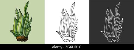 Symbolsatz. Algenbusch. Marine Thema Symbol in Hand zeichnen Stil. Niedliche kindliche Illustration des Meeres Leben. Symbol, Abzeichen, Aufkleber, Aufdruck für Kleidung Stock Vektor