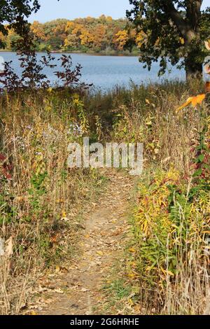 Kleiner Fußweg, der an einem schönen Herbsttag in Richtung See führt. Stockfoto