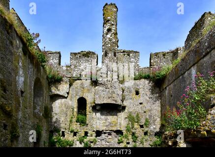 Die große Halle im Schloss Manorbier. Stockfoto