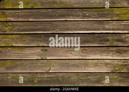 Altes Holz mit Farbe. Detail einer Vintage-Tür mit abblätternder weißer Farbe Stockfoto