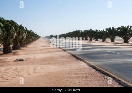 Sandsturm auf der Trans-Kalahari Autobahn zwischen Walvis Bay und Swakopmund, Namibia, Afrika. Stockfoto