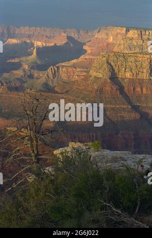 Grand Canyon Sonnenuntergang mit langen Schatten und gelbem Sonnenschein auf Felsen Stockfoto