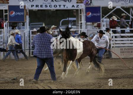 Prescott Frontier Days 2021 Stockfoto