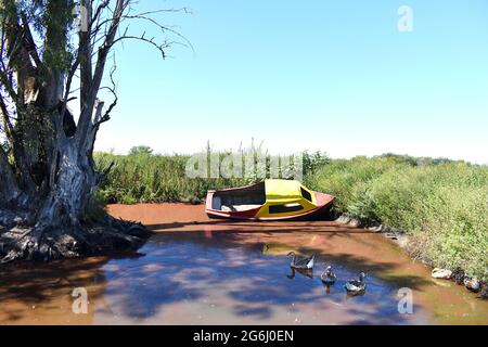 see mit 3 Enten, die in verschmutztem Wasser schwimmen und einem verlassenen Boot, das auf dem See driftet. Horizontal Stockfoto