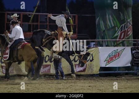 Prescott Frontier Days 2021 Stockfoto