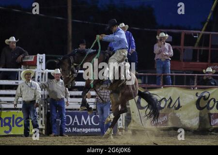 Prescott Frontier Days 2021 Stockfoto