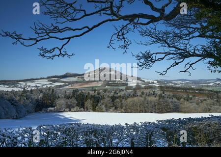 Wunderschöne Aussicht auf schneebedeckte Felder, die zu den Eildon Hills an einem wunderschönen Frühlingsmorgen in den Scottish Borders führen. Stockfoto