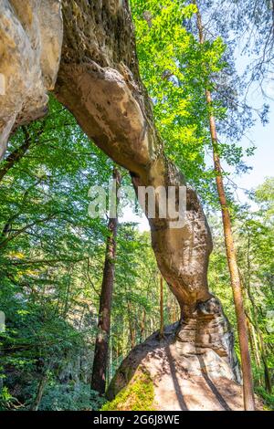 Einzigartiger Sandsteinbogen im Kiefernwald Stockfoto