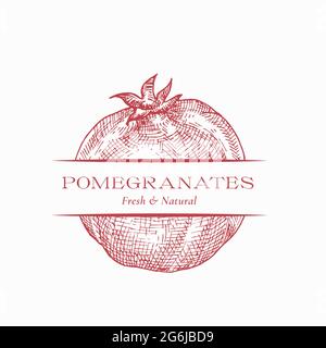 Fresh Pomegranate Organic Fresh Fruit Abstract Vektor-Zeichen, Symbol oder Logo-Vorlage. Handgezeichnete Fruit Sketch Silhouette mit moderner Typografie Stock Vektor
