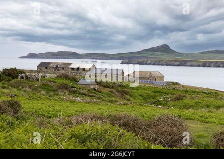 Ramsey Island, Pembrokeshire, Wales - walisische Landschaft an einem stürmischen Tag, St Brides Bay, Pembrokeshire, Wales, Großbritannien Stockfoto