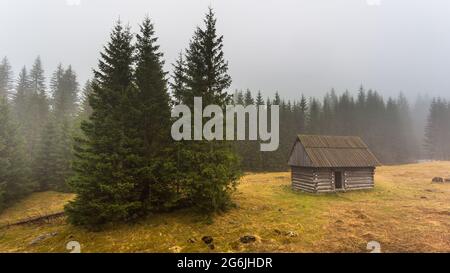 Chocholowska Tal an einem nebligen Frühlingstag. Eine Lichtung mit Schäferhütten und Hütten. Tatra, Polen. Stockfoto