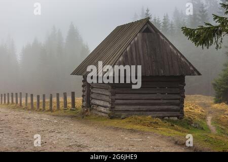 Chocholowska Tal an einem nebligen Frühlingstag. Eine Lichtung mit Schäferhütten und Hütten. Tatra, Polen. Stockfoto