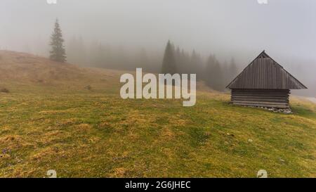 Chocholowska Tal an einem nebligen Frühlingstag. Eine Lichtung mit Schäferhütten und Hütten. Tatra, Polen. Stockfoto