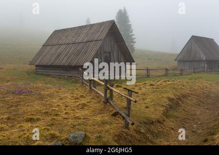 Chocholowska Tal an einem nebligen Frühlingstag. Eine Lichtung mit Schäferhütten und Hütten. Tatra, Polen. Stockfoto