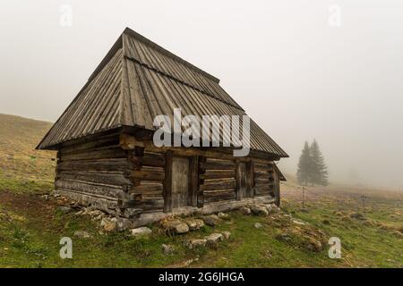 Chocholowska Tal an einem nebligen Frühlingstag. Eine Lichtung mit Schäferhütten und Hütten. Tatra, Polen. Stockfoto