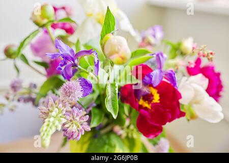 Abstrakte bunte florale Hintergrundstruktur, Nahaufnahme von Blumen und Knospen Stockfoto