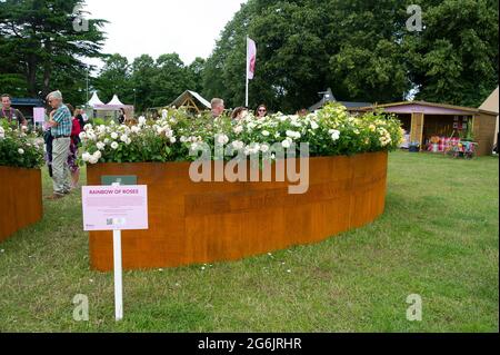 East Molesey, Surrey, Großbritannien. Juli 2021. Der David Austin Rainbow of Roses Garten. Quelle: Maureen McLean/Alamy Stockfoto